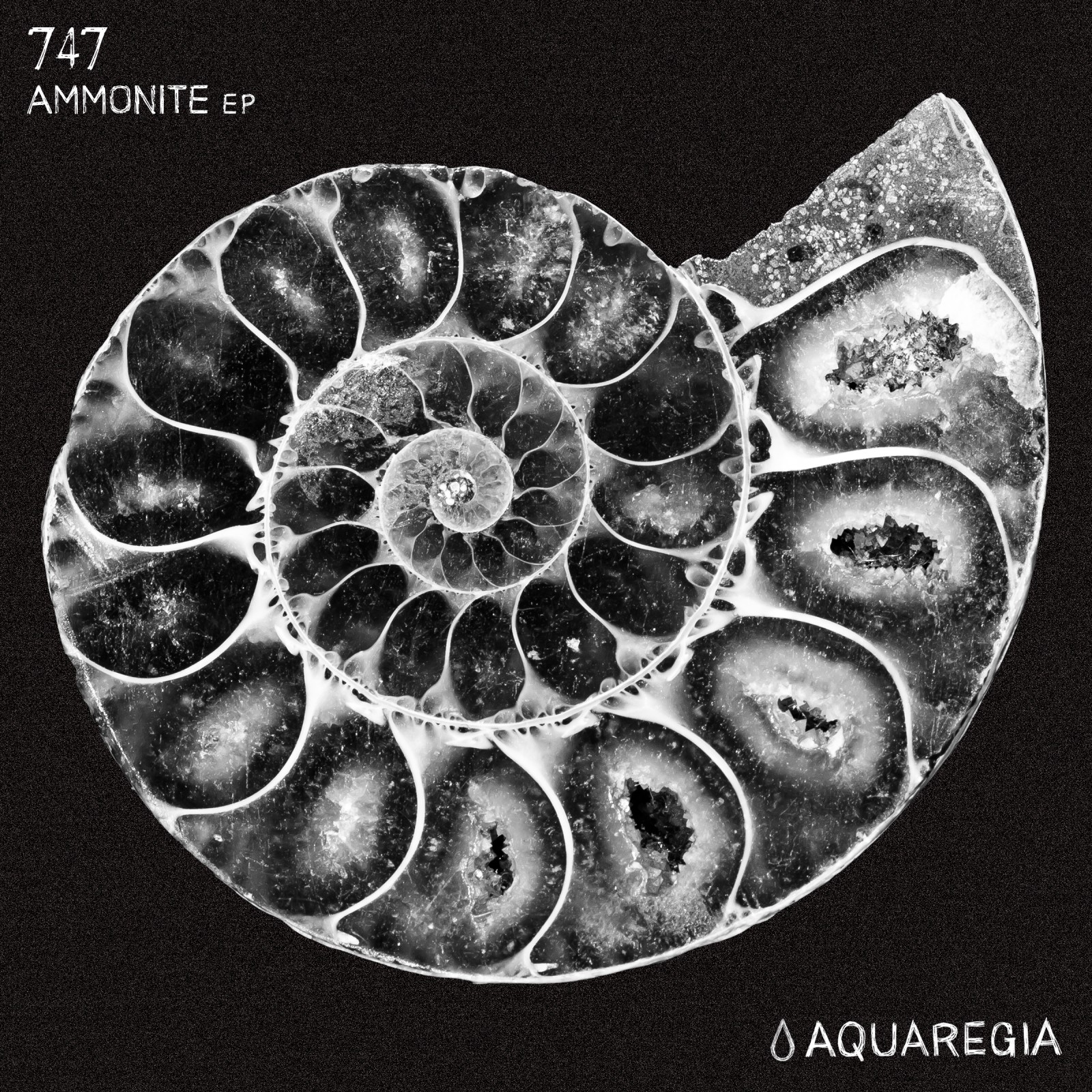 747 - Ammonite EP