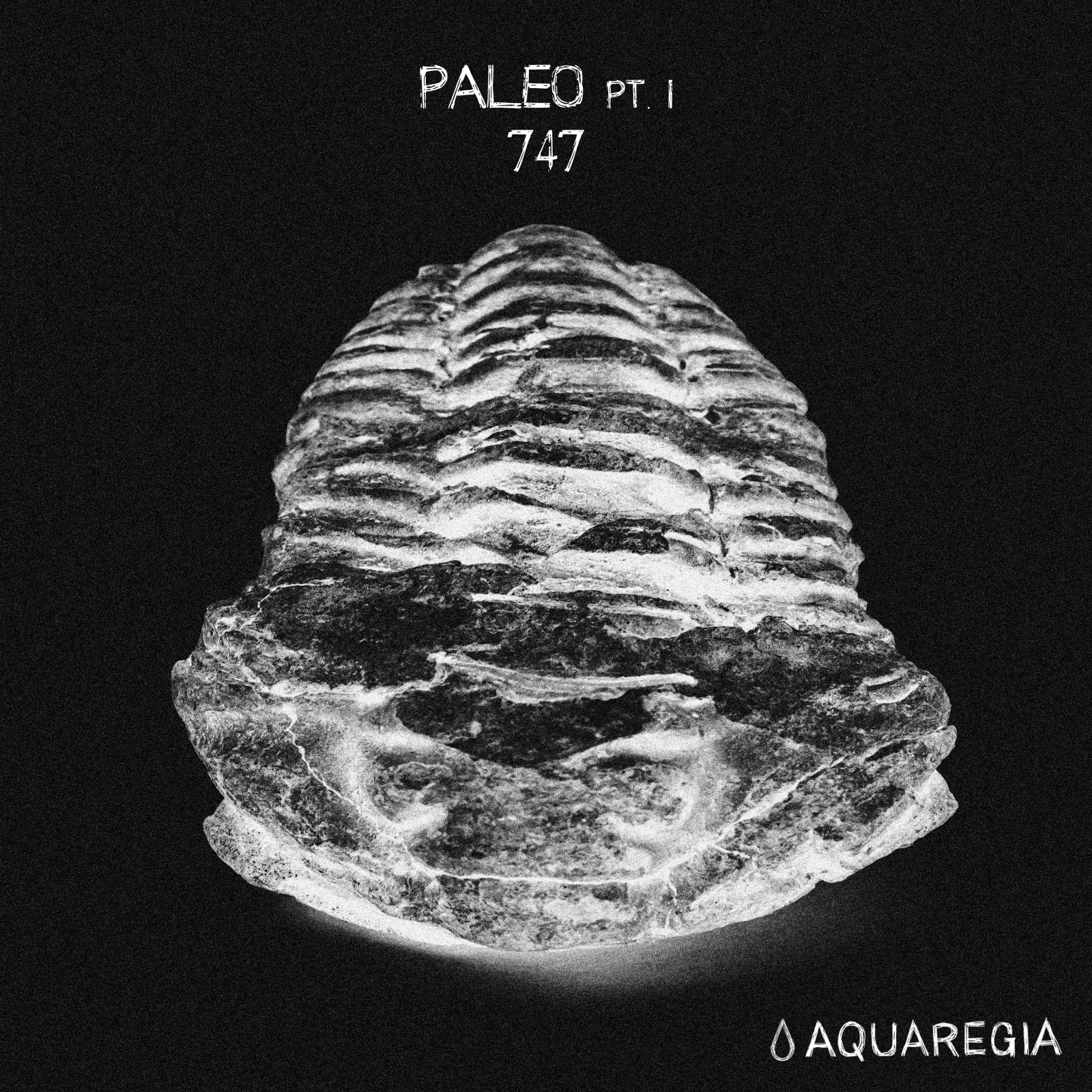 747 - Paleo Pt. I