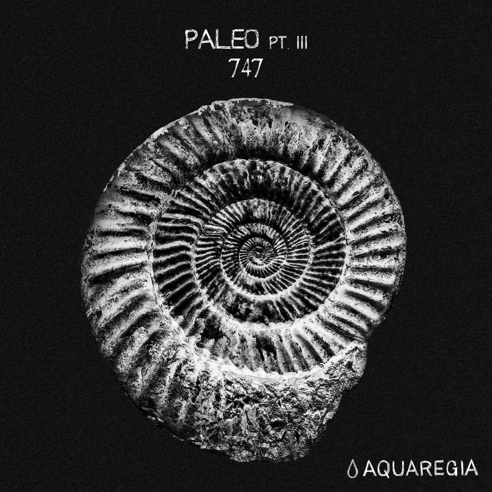 747 - Paleo Pt. III