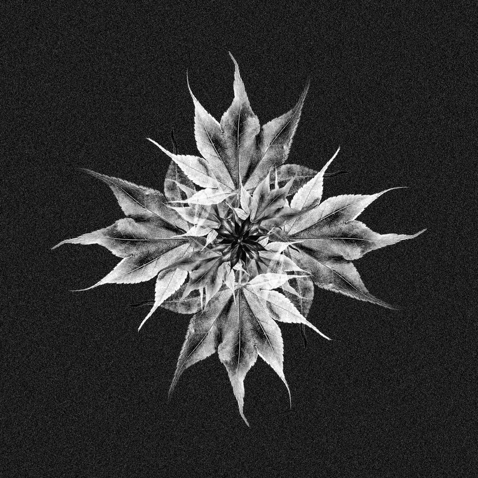 Troma & PERS1 - Kaede EP